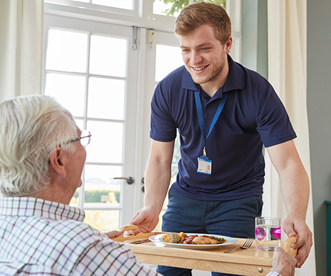 young caregiver serving meal to elderly person in home setting enjoying food together with two plates